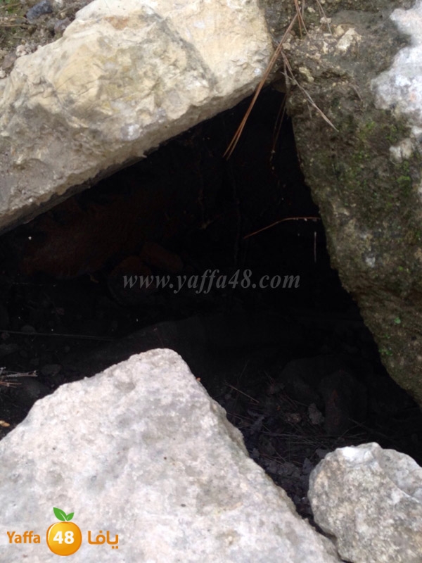 3emwass maqbara (12).JPG